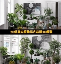 20组高质量室内植物花卉盆栽3D模型合集 Evermotion第280季