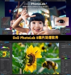 DxO PhotoLab 8图片处理软件V8.3.0.39 Mac版