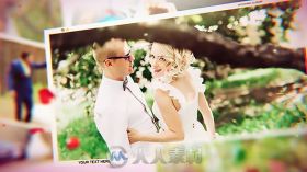 浪漫梦幻婚礼拍立得照片展示幻灯片相册动画AE模板 Videohive Wedding 19317903