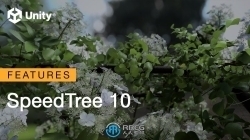 SpeedTree Modeler树木植物实时建模软件V10.0.1版