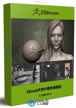 【中文字幕】Zbrush女性人物头部肖像数字雕刻流程视频教程