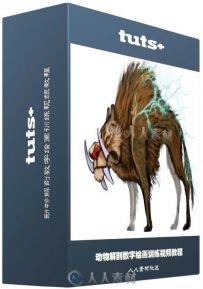 动物解剖数字绘画训练视频教程 Tuts+ Premium Mastering Animal Anatomy in Digita...