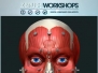 《ZBrush人物脸部造型雕刻艺术高级教程》ZBrushWorkshops Anatomy of the Face for Artists