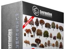 Evermotion树木贴图材质合辑第九季