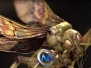 《超现实昆虫设计视频教程》The Gnomon Workshop Hyper real Insect Design with E...