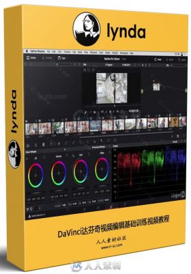 DaVinci达芬奇视频编辑基础训练视频教程