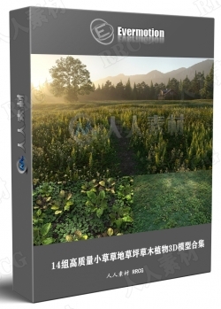 14组高质量小草草地草坪草木植物3D模型合集 Evermotion Archmodels第225季