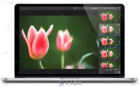 Topaz Impression手绘艺术特效PS插件V2.0.4版 Topaz Impression 2.0.4 Win x64