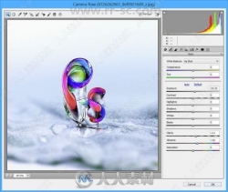 Adobe Camera Raw图像格式调整PS插件V12.1版