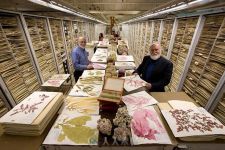 storage at the smithsonian natural history museum-标本的世界