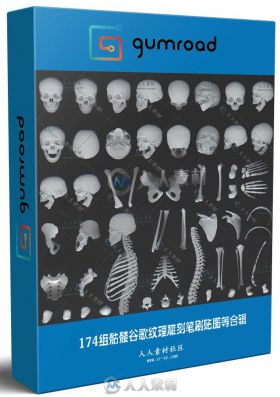 174组骷髅骨骼纹理雕刻笔刷贴图等合辑 GUMROAD 174 HUMAN BONE ALPHAS