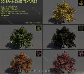 超逼真3D效果树枝贴图纹理Free 3D branches textures 01