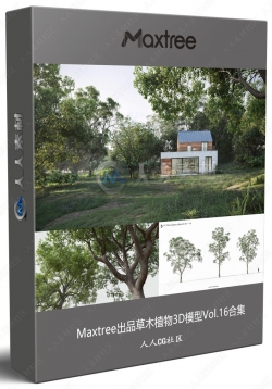 Maxtree出品草木植物3D模型Vol.16合集