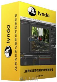 AE稳定摄像机跟踪技巧视频教程 Lynda After Effects Guru Tracking and Stabilizin...